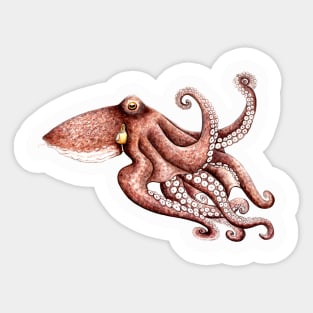 Octopus (Octopus vulgaris) Sticker